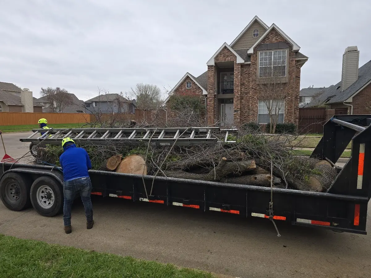 Expert Lot Clearing with proper safety equipment in Mutual